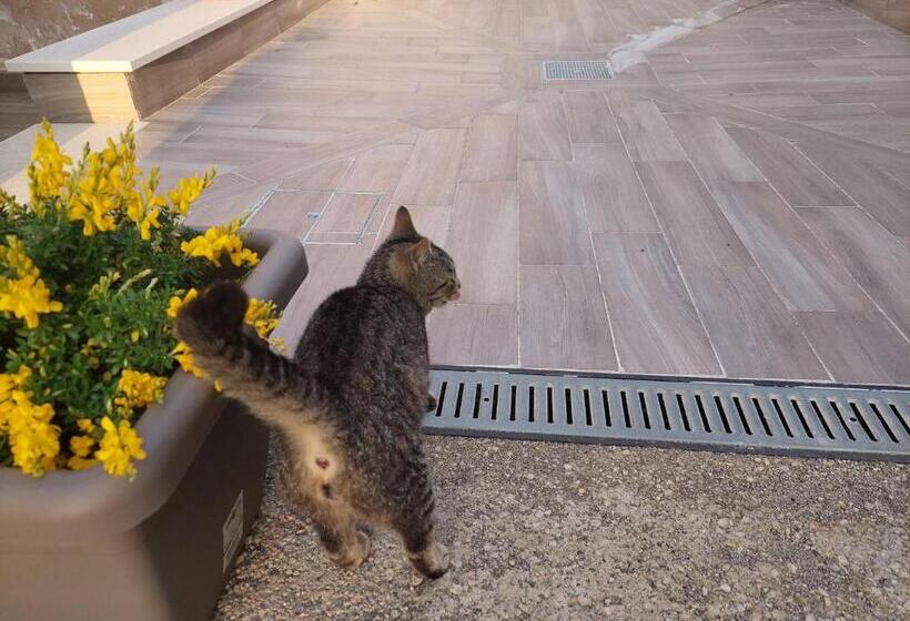 B&b Villa La Ginestra