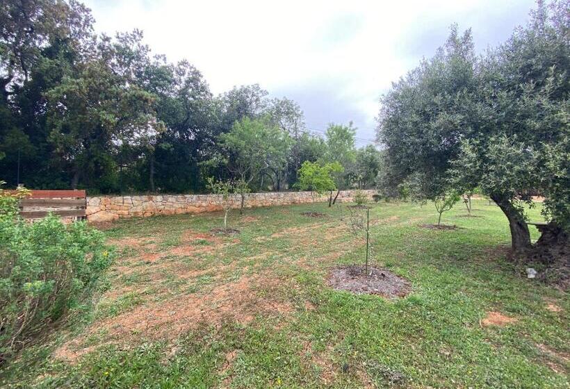 민박 Adamah Vayu Casa Serenida