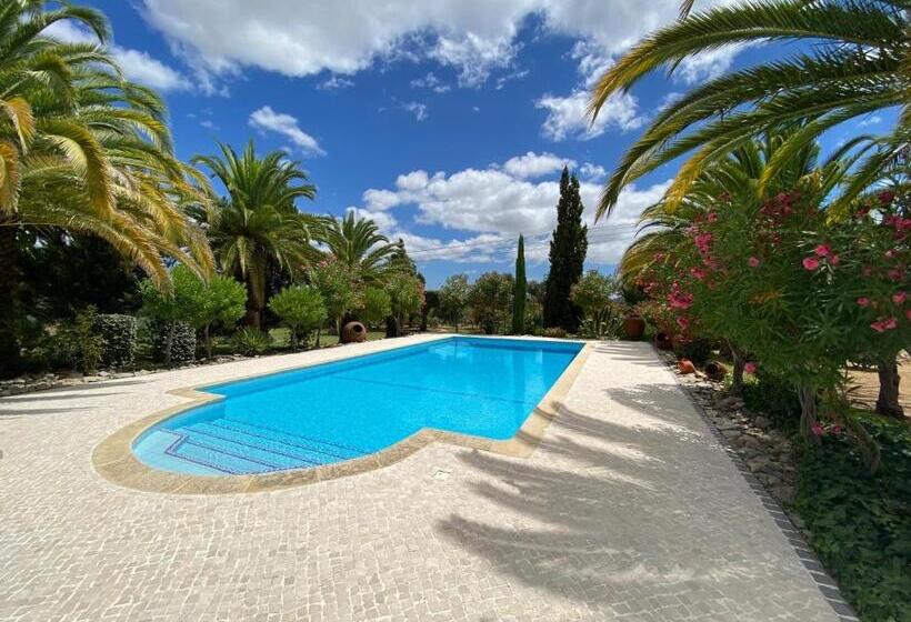 민박 Adamah Vayu Casa Serenida