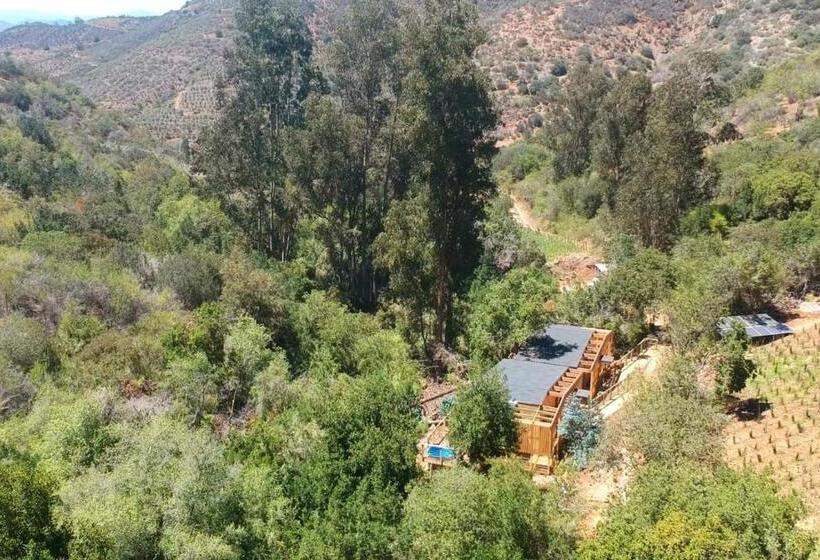 ベッドアンドブレックファースト Cabaña Con Tinaja En Viña Narbona Wines