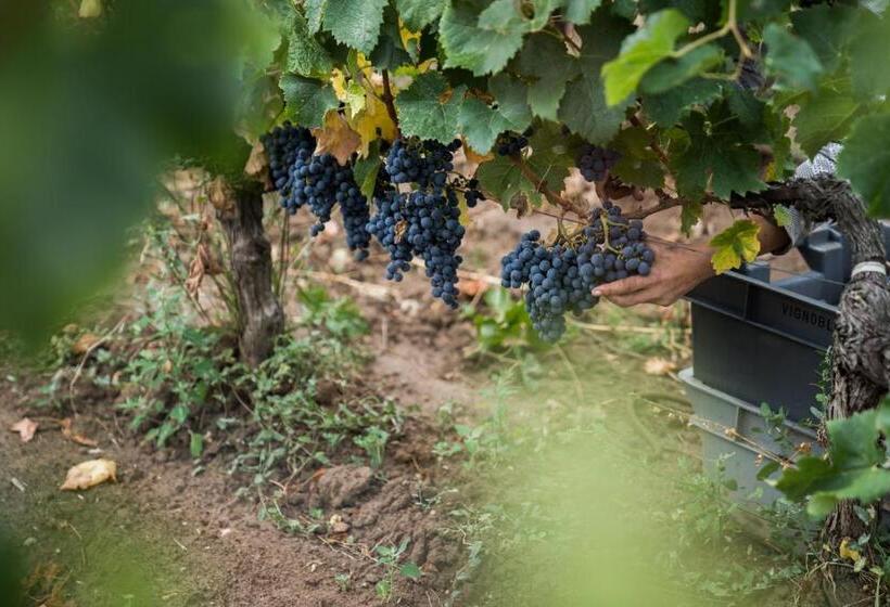 ベッドアンドブレックファースト Château Bonalgue   Pomerol