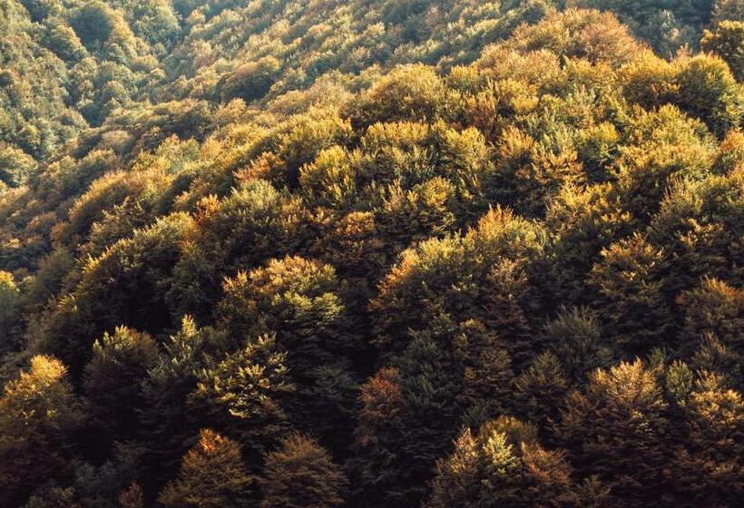 مبيت وإفطار Eyhera Perkain