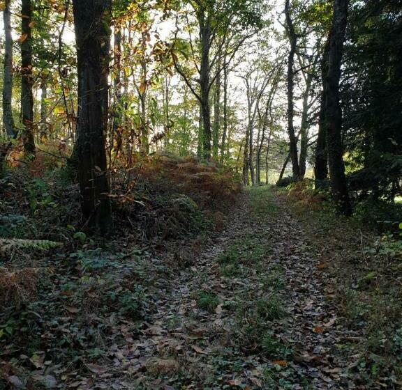 ベッドアンドブレックファースト Grésillon