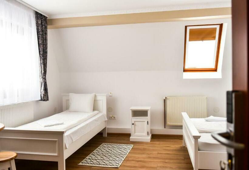 ベッドアンドブレックファースト Hadnagy Panzió