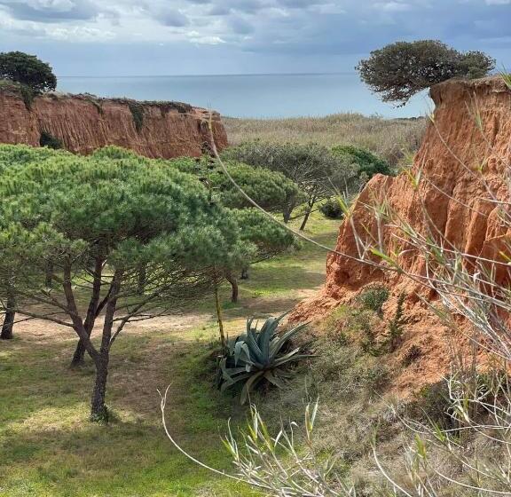 مبيت وإفطار Lalita House