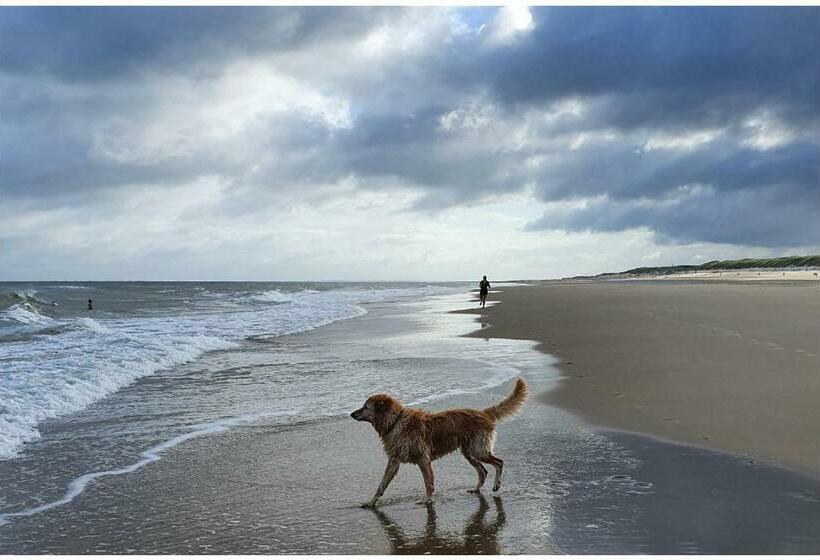 Bed & Breakfast House Of Grace Voorkamer