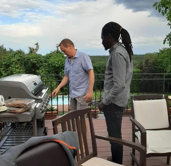 Hallerbos B&b In Bluebell Forest