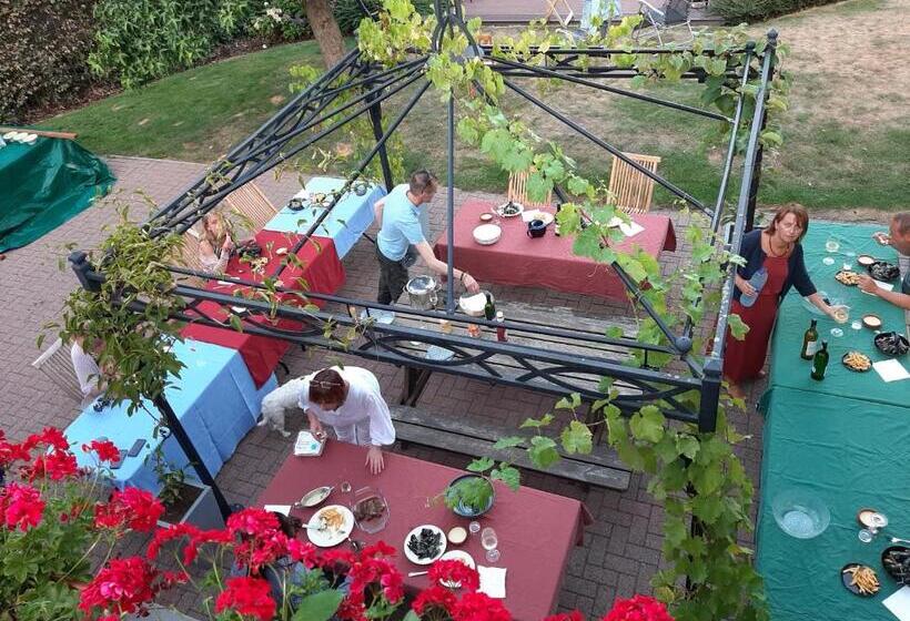 Hallerbos B&b In Bluebell Forest