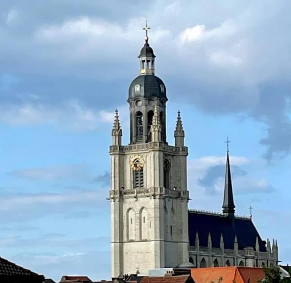 Hallerbos B&b In Bluebell Forest