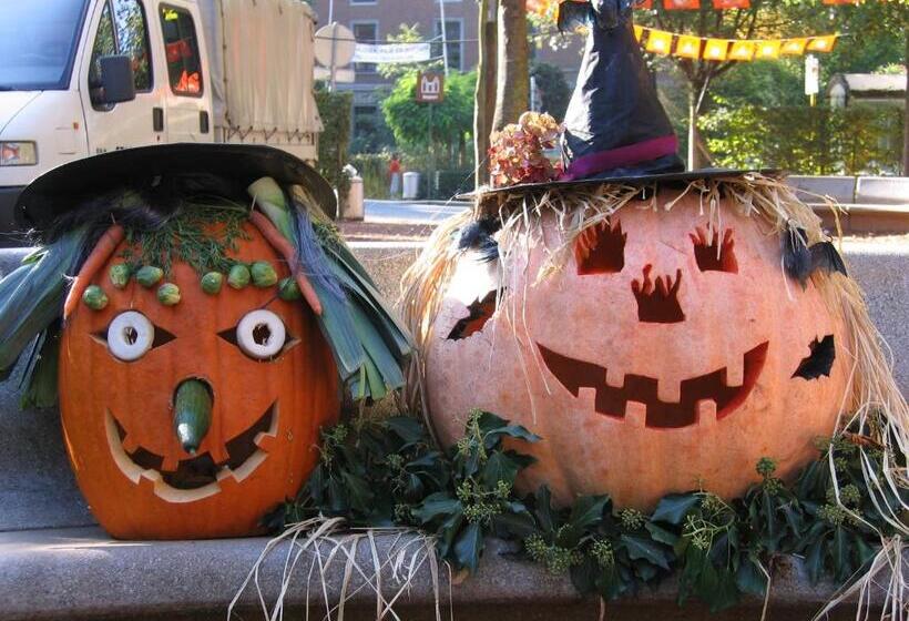 Hallerbos B&b In Bluebell Forest