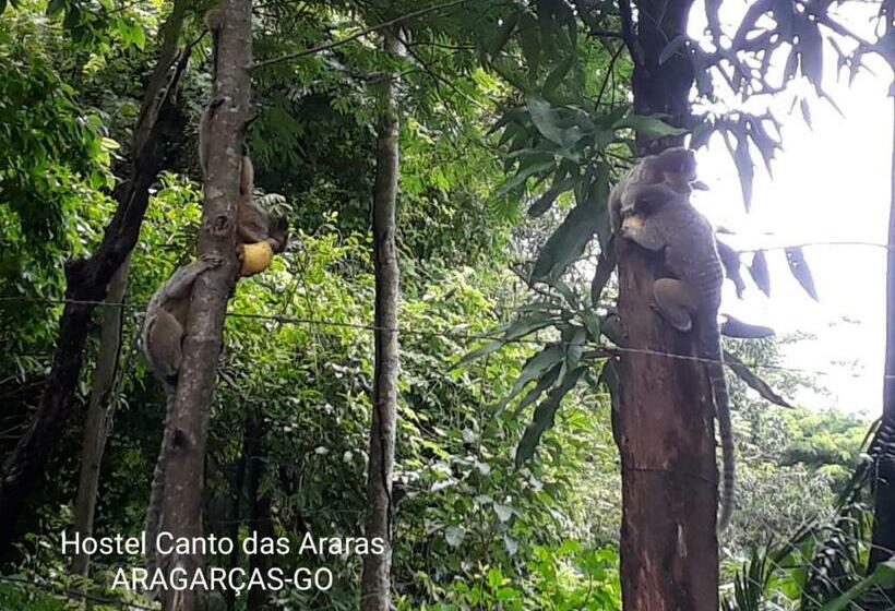 Hostel Canto Das Araras