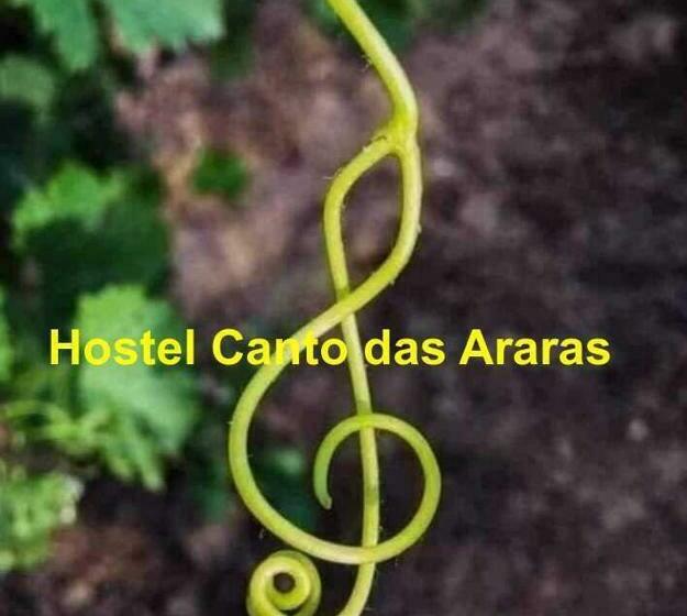 Hostel Canto Das Araras