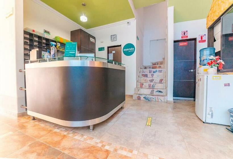 هتل Ayenda La Capotera Real