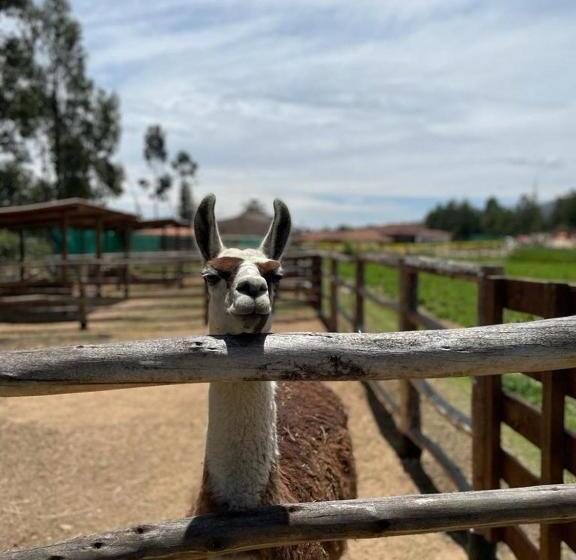 هتل La Finka Cajamarca