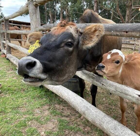 هتل La Finka Cajamarca