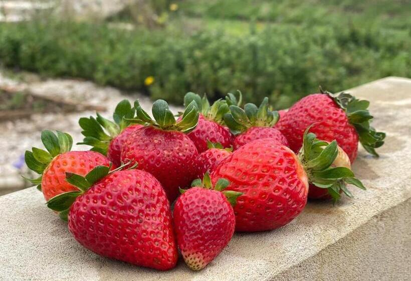 هتل La Finka Cajamarca