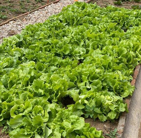 هتل La Finka Cajamarca