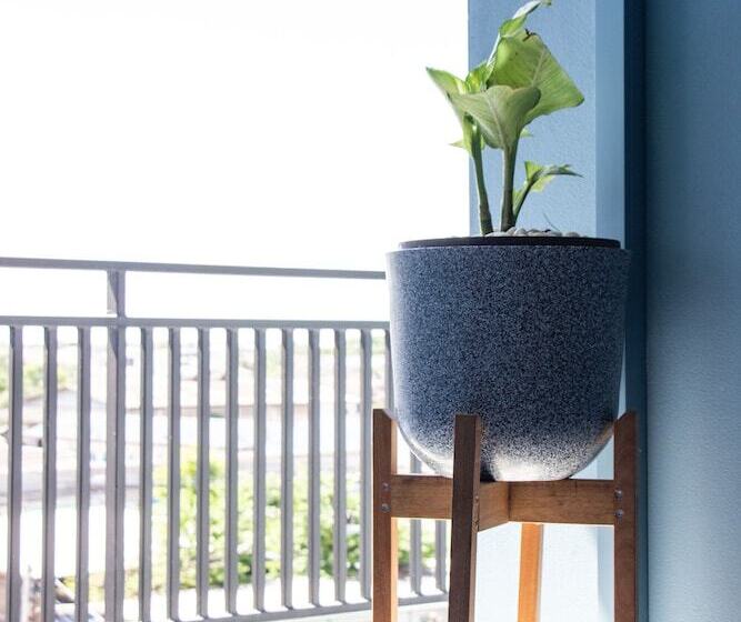 酒店 Is Am Are Stay Boutique