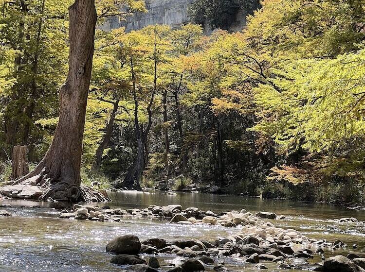 فندق Seven Bluff Cabins