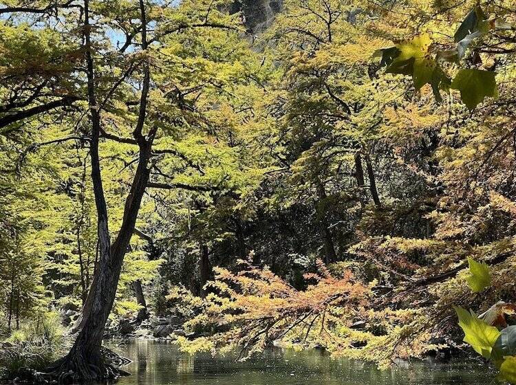 فندق Seven Bluff Cabins
