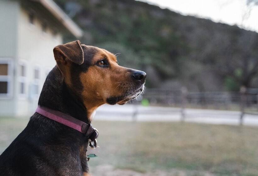 فندق Seven Bluff Cabins