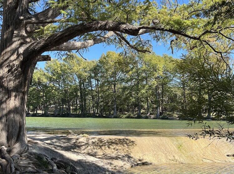 فندق Seven Bluff Cabins