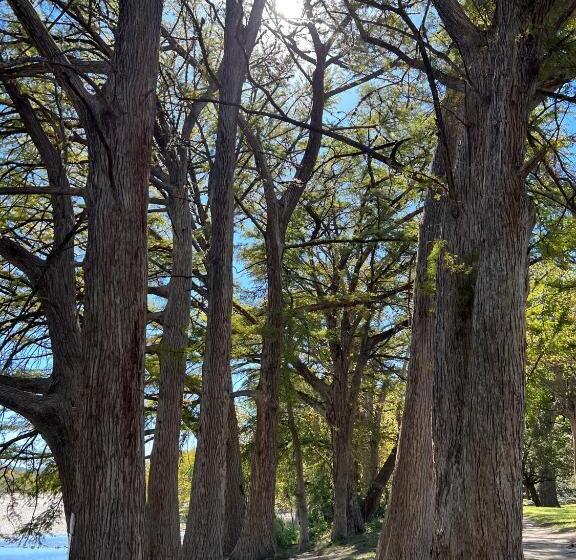فندق Seven Bluff Cabins