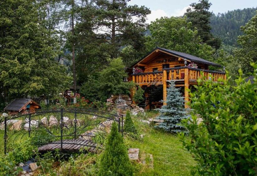 פנסיון Casa Baciu