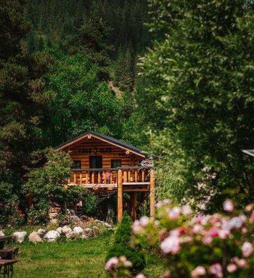 פנסיון Casa Baciu