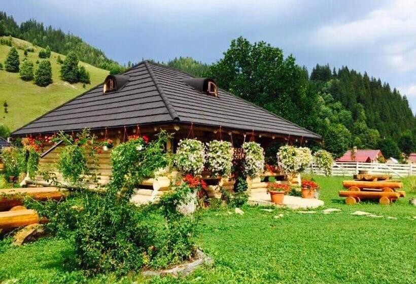 פנסיון Casa Baciu