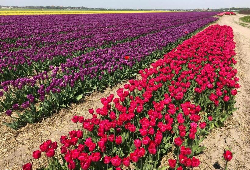 펜션 Comfortable Room