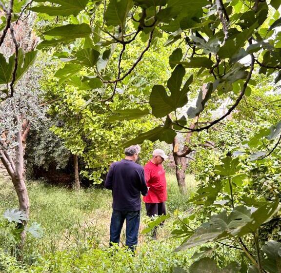 بنسيون Dar Seddik