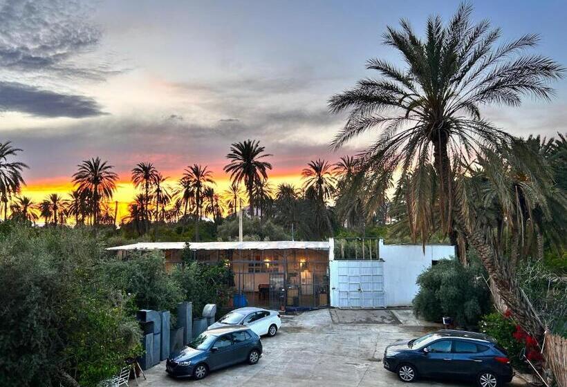 بنسيون Dar Seddik