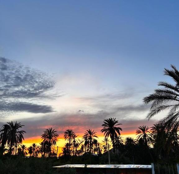 بنسيون Dar Seddik