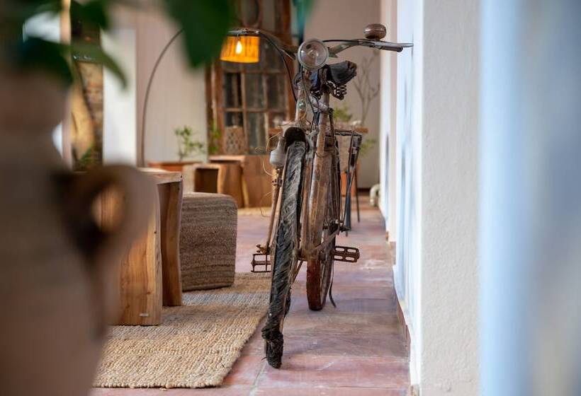 پانسیون Hostal Es Niu De Tamariu