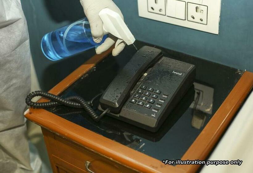 Пансион Oyo Home 85620 Abhishek Homestay