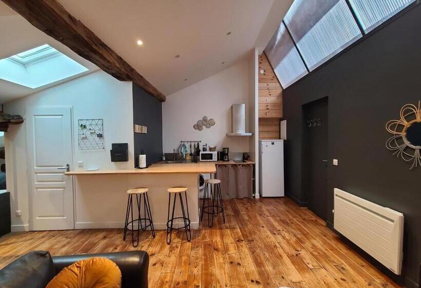 پانسیون Plan B