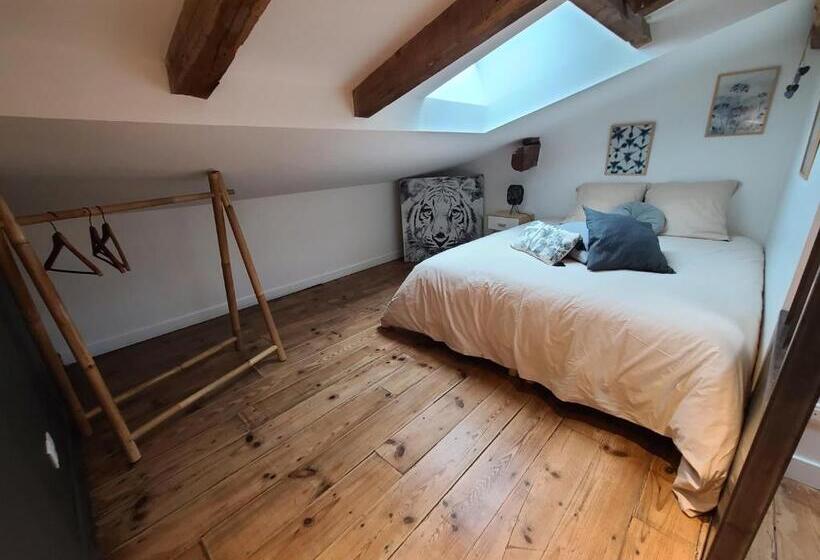 پانسیون Plan B