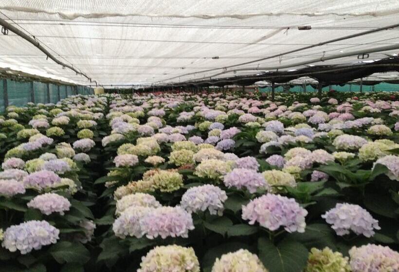 Пансион Room In Farmhouse   Apartment In Farmhouse