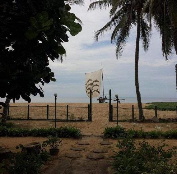 פנסיון Silver Sands