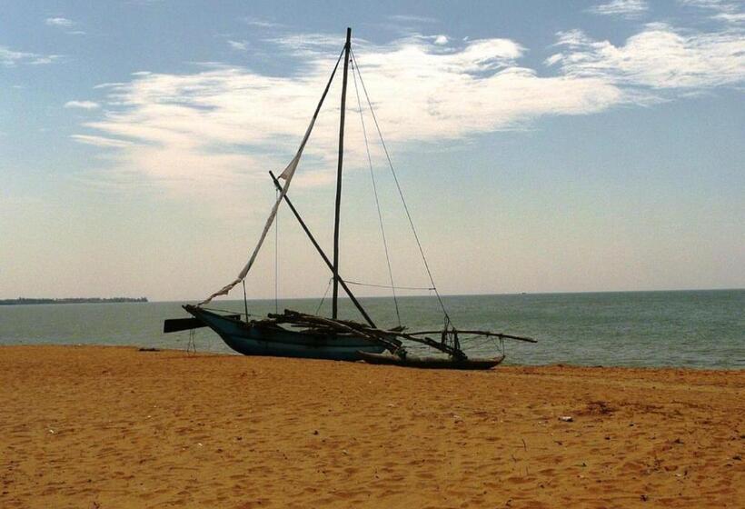 פנסיון Silver Sands