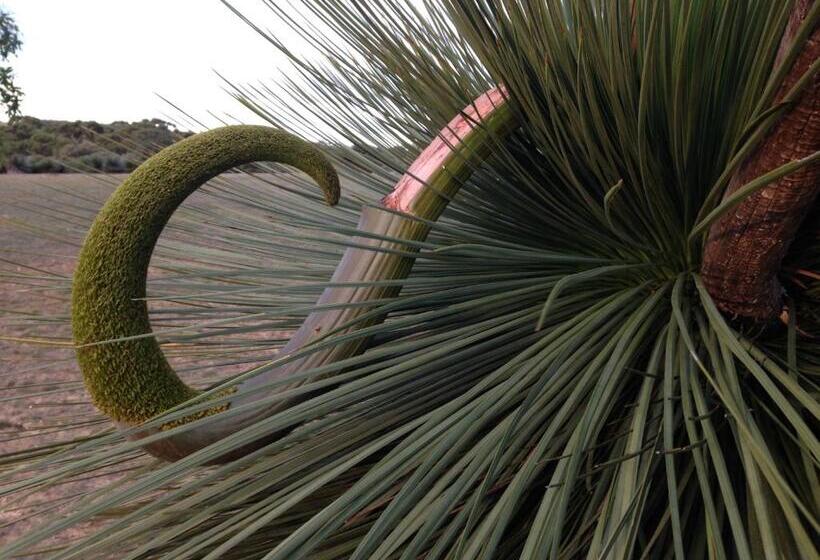 膳宿费 Wedgetaildown