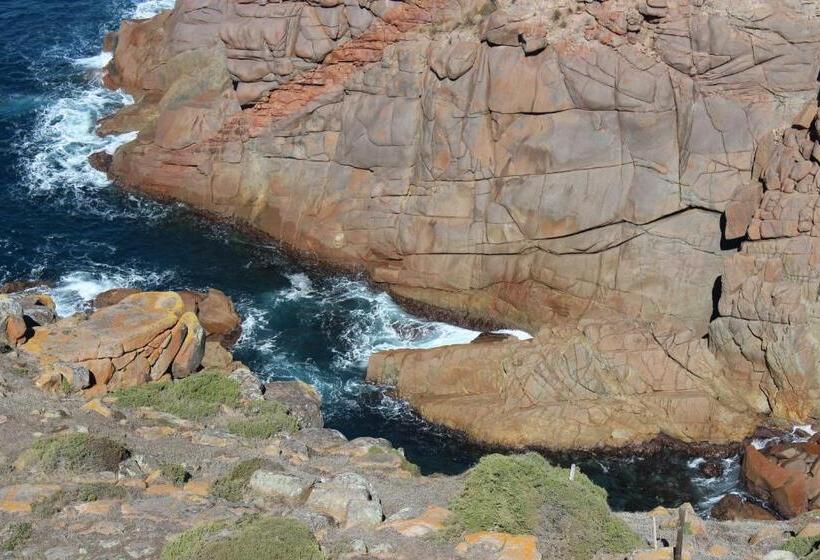 膳宿费 Wedgetaildown