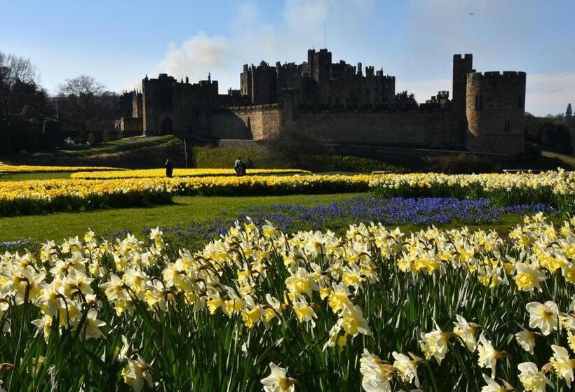 بنسيون Yearle House