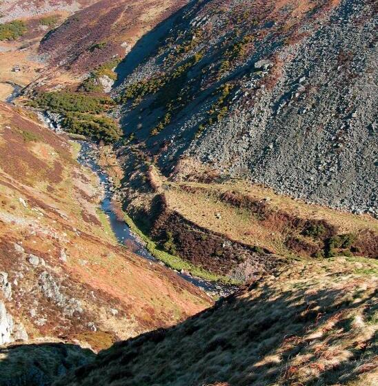 بنسيون Yearle House