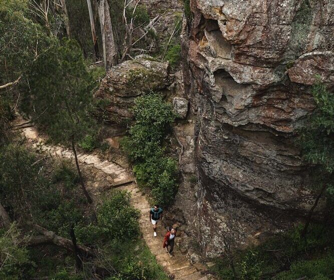 אתר נופש Chalets At Blackheath