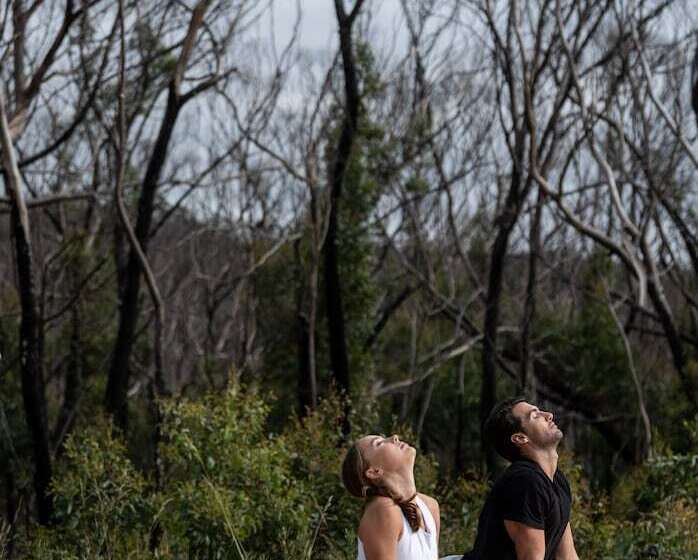 אתר נופש Chalets At Blackheath