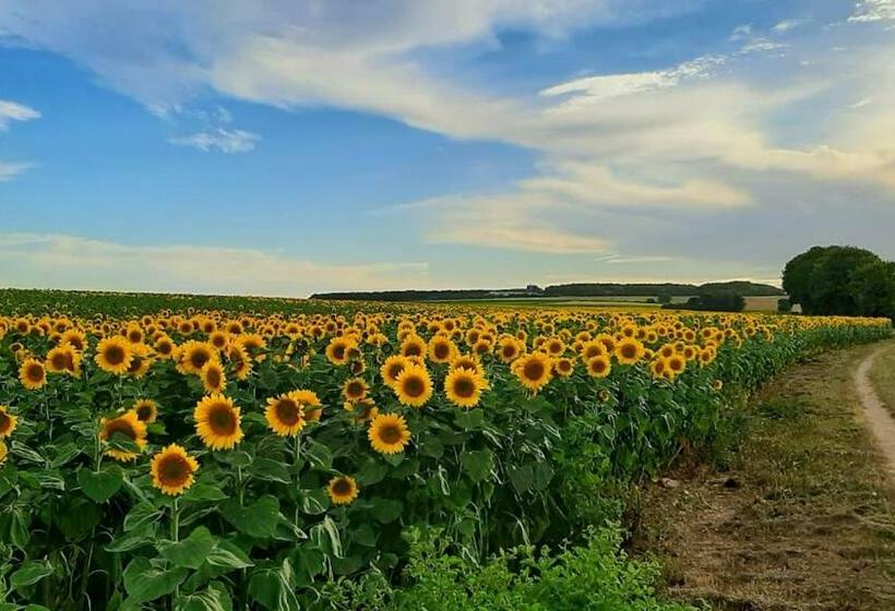 住宿加早餐  Tusson Chambres D Hotes Charente