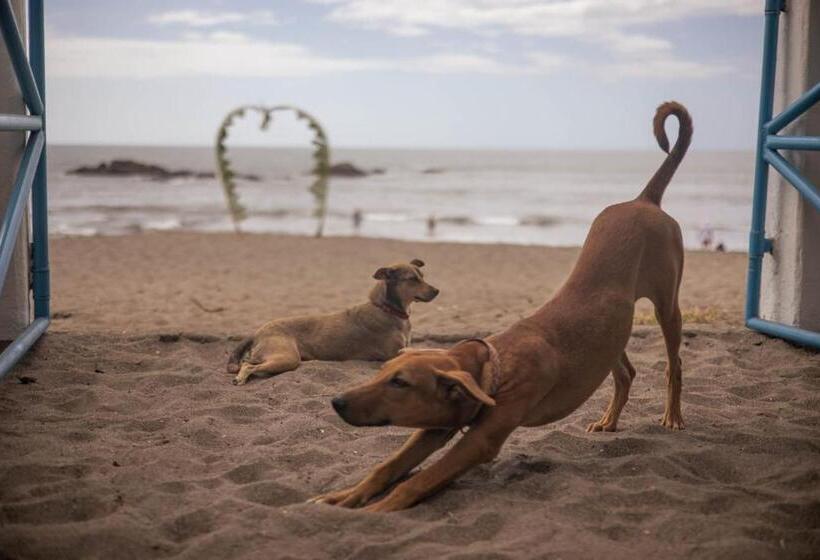 호스텔 Casita De Playa Bomalu