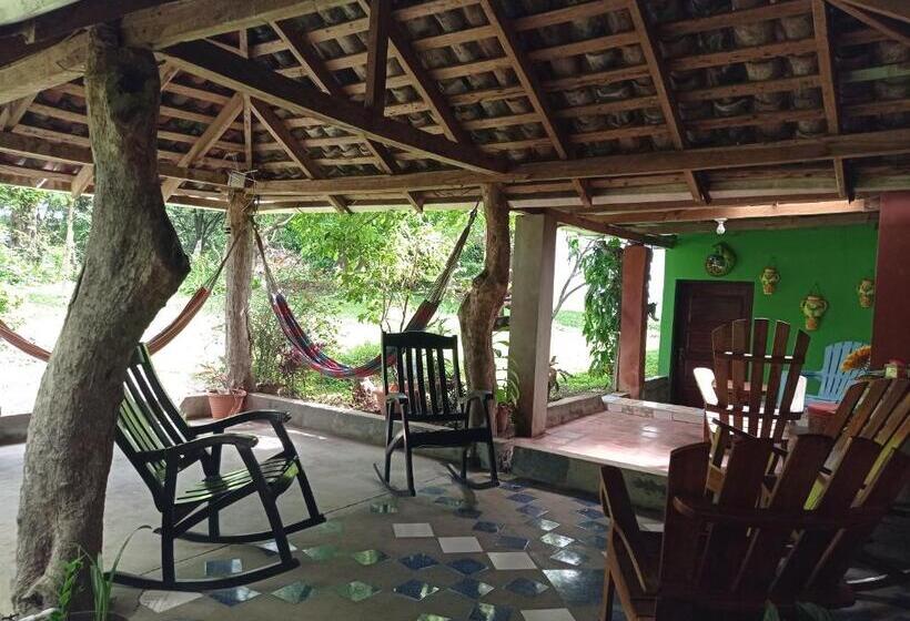 호스텔 Loren S House